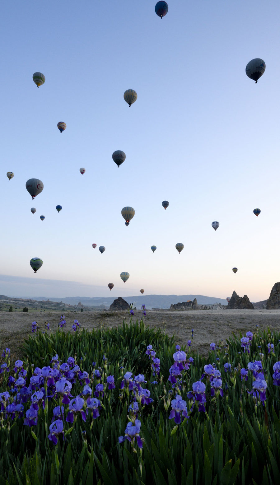 Lavender Balloon Journey Mural Wallpaper