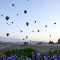 Lavender Balloon Journey Mural Wallpaper - pure wallpaper artwork