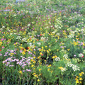 Technicolor Meadow Mural Wallpaper - pure wallpaper artwork