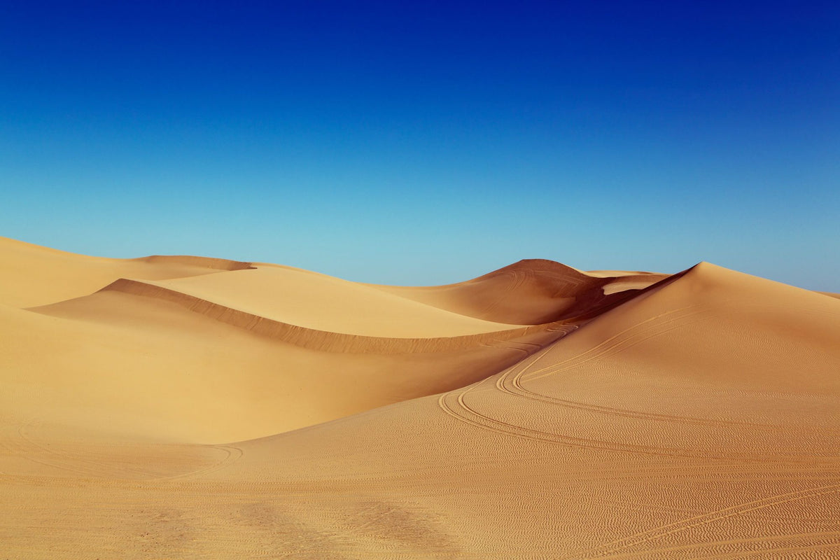 Imperial Sand Dunes Mural Wallpaper - pure wallpaper artwork