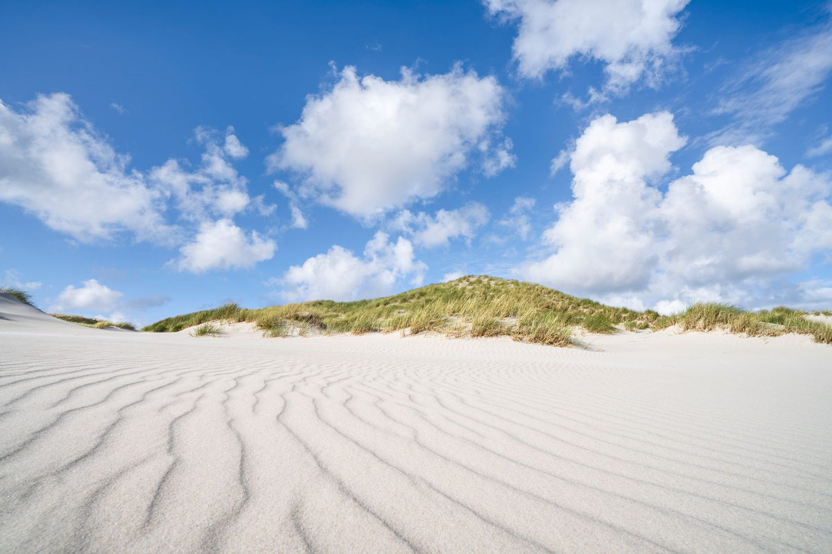 Sand Dune Macro Mural Wallpaper - pure wallpaper artwork