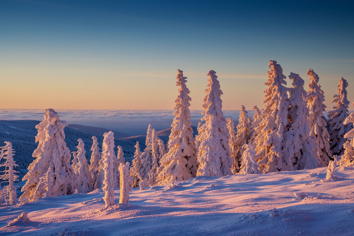 Top of the Mountain Mural Wallpaper - pure wallpaper artwork