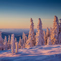 Top of the Mountain Mural Wallpaper - pure wallpaper artwork