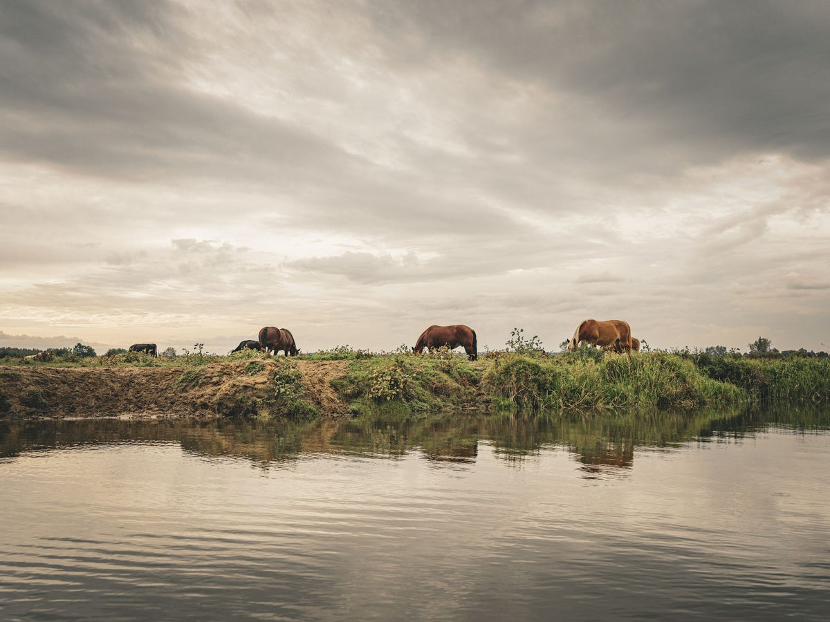 Idyll on the River Mural Wallpaper - pure wallpaper artwork