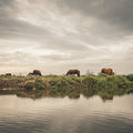 Idyll on the River Mural Wallpaper - pure wallpaper artwork