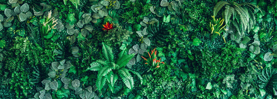 Botanical Cascade Mural Wallpaper