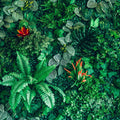Botanical Cascade Mural Wallpaper - pure wallpaper artwork