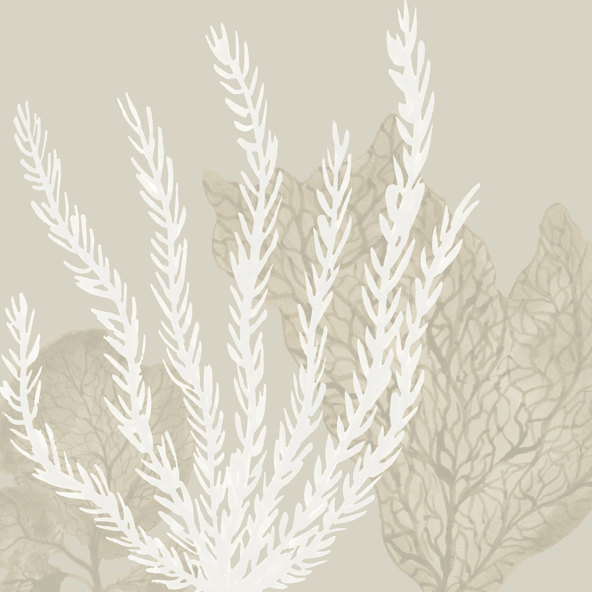 Coastal Reef V Mural Wallpaper - pure wallpaper artwork