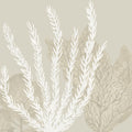 Coastal Reef V Mural Wallpaper - pure wallpaper artwork