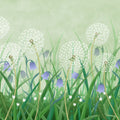 Dandelion Meadow, Green Mural Wallpaper - pure wallpaper artwork