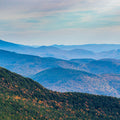 Rolling Forest Vista Mural Wallpaper - pure wallpaper artwork