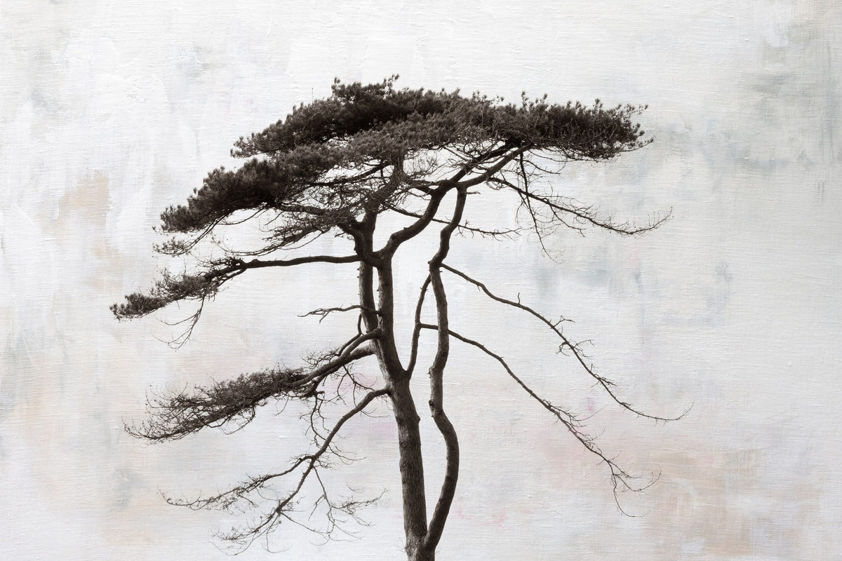 Stokenham Tree Mural Wallpaper - pure wallpaper artwork