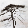 Stokenham Tree Mural Wallpaper - pure wallpaper artwork
