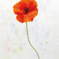 Wonderful Wildflowers XIII Mural Wallpaper - pure wallpaper artwork