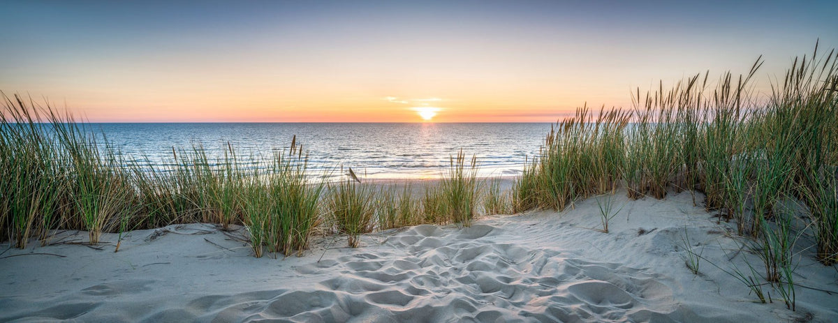 Sunset Dunes Mural Wallpaper - pure wallpaper artwork