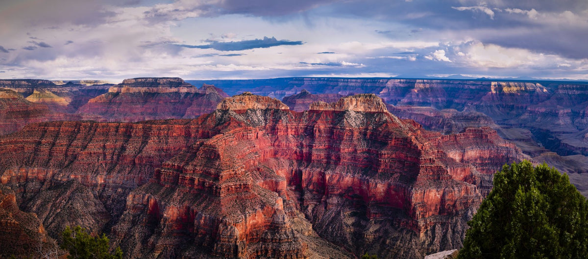 Russet Canyon Mural Wallpaper - pure wallpaper artwork