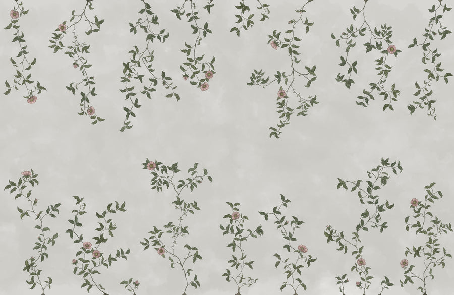 Rambling Rose, Dusty Pink on Cloud Mural Wallpaper