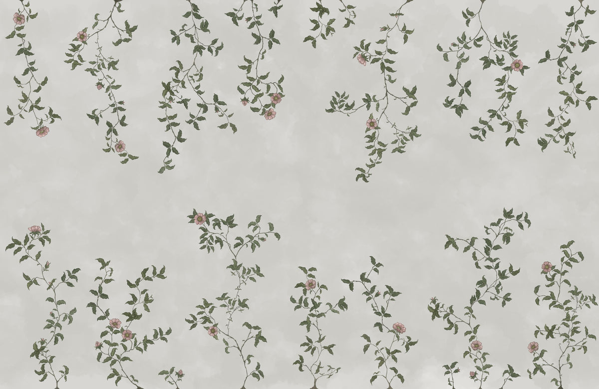 Rambling Rose, Dusty Pink on Cloud Mural Wallpaper - pure wallpaper artwork
