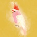 Bright Birds IV Mural Wallpaper - pure wallpaper artwork