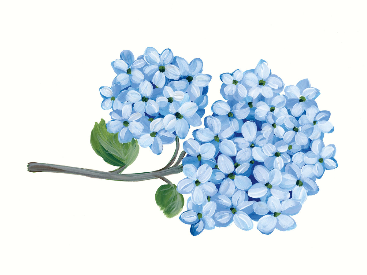 Nantucket Blue Hydrangea II Mural Wallpaper - pure wallpaper artwork