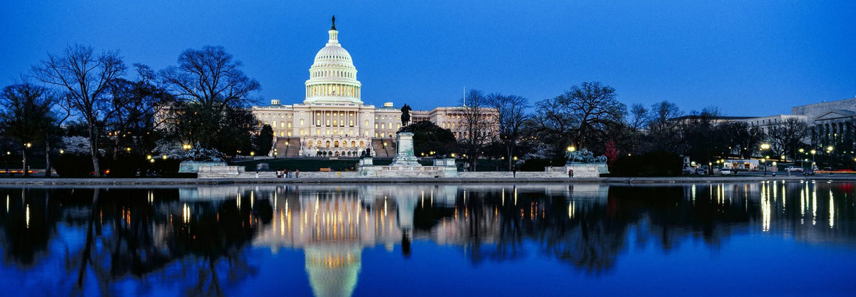 Capitol Twilight Mural Wallpaper - Blue Tone - pure wallpaper artwork