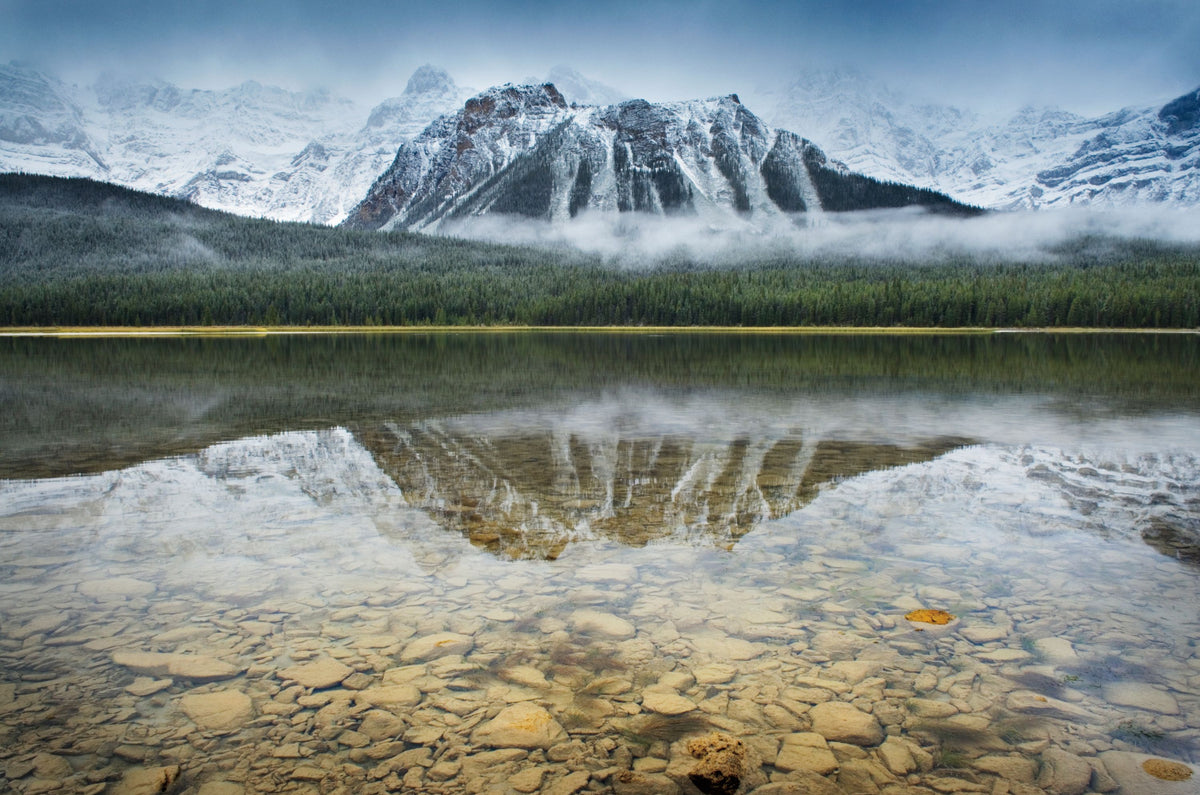 Waterfowl Lake I Mural Wallpaper - pure wallpaper artwork