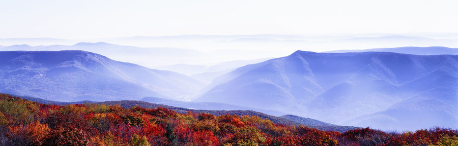 Autumn Mountain Mist Mural Wallpaper