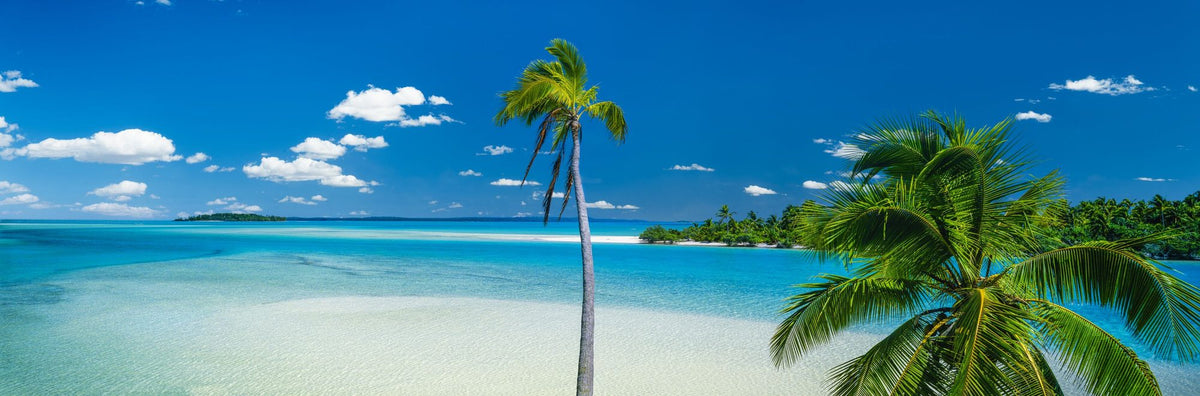 Cook Island Breeze Mural Wallpaper - pure wallpaper artwork