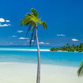 Cook Island Breeze Mural Wallpaper - pure wallpaper artwork