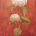White Hydrangea on Red Mural Wallpaper - pure wallpaper artwork
