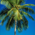 Azure Palms Vertical Mural Wallpaper - pure wallpaper artwork