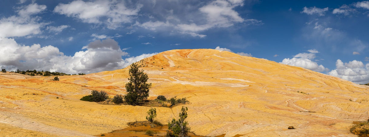Golden Mesa Mural Wallpaper - pure wallpaper artwork