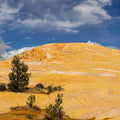 Golden Mesa Mural Wallpaper - pure wallpaper artwork