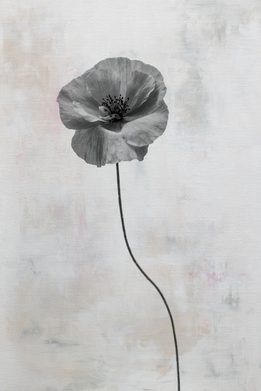 Wonderful Wildflowers XIII Neutral Mural Wallpaper