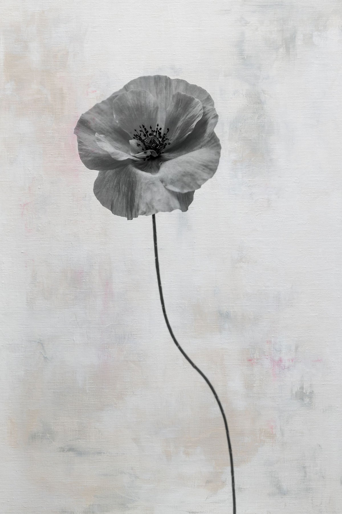 Wonderful Wildflowers XIII Neutral Mural Wallpaper - pure wallpaper artwork