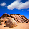 Joshua Tree Blue I Mural Wallpaper - pure wallpaper artwork