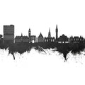Lille France Skyline Black & White Mural Wallpaper - pure wallpaper artwork