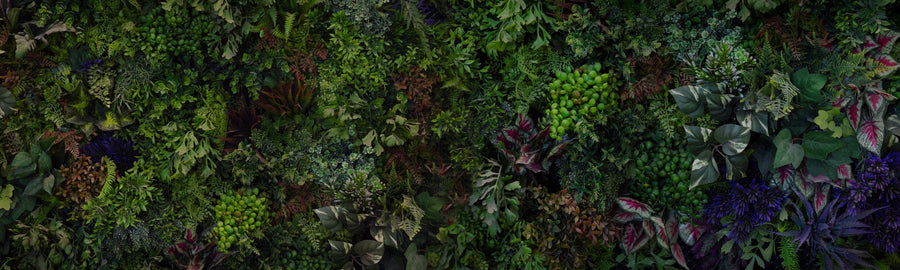 Botanical Eco Herbs Mural Wallpaper