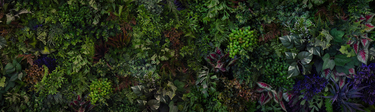 Botanical Eco Herbs Mural Wallpaper - pure wallpaper artwork