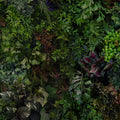 Botanical Eco Herbs Mural Wallpaper - pure wallpaper artwork