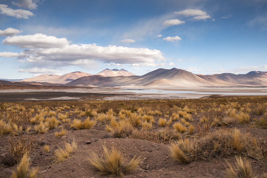 Atacama Desert Mural Wallpaper