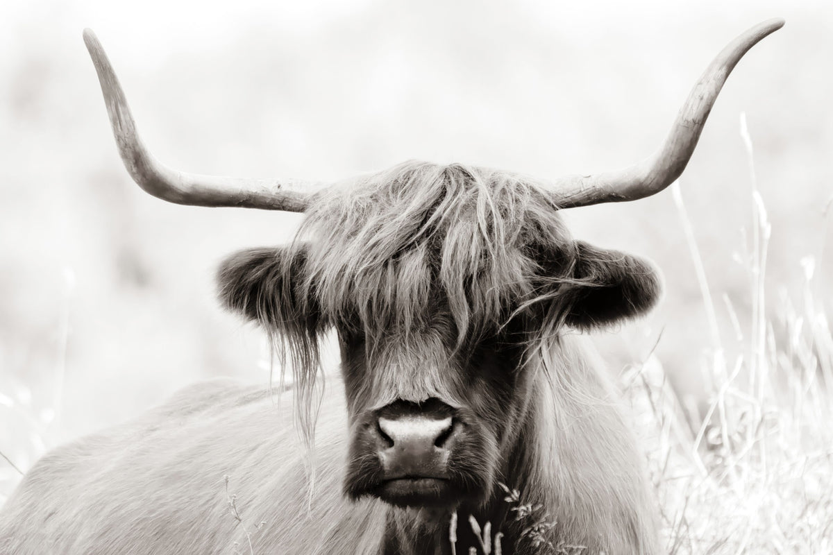 Highland Meadow Portrait BW Mural Wallpaper - pure wallpaper artwork