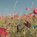 Wild Meadow Mural Wallpaper - Edition 3 - pure wallpaper artwork
