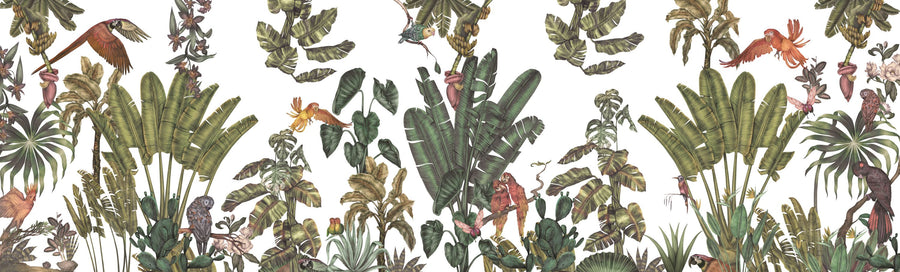 Parrots Jungle, Green Mural Wallpaper