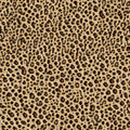 Leopard Fur Texture No.II Mural Wallpaper - pure wallpaper artwork