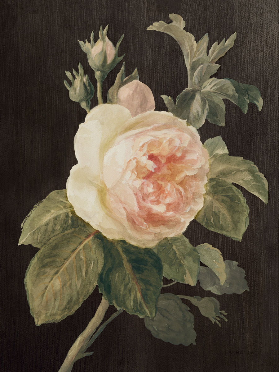 Heirloom Pink Rose Mural Wallpaper