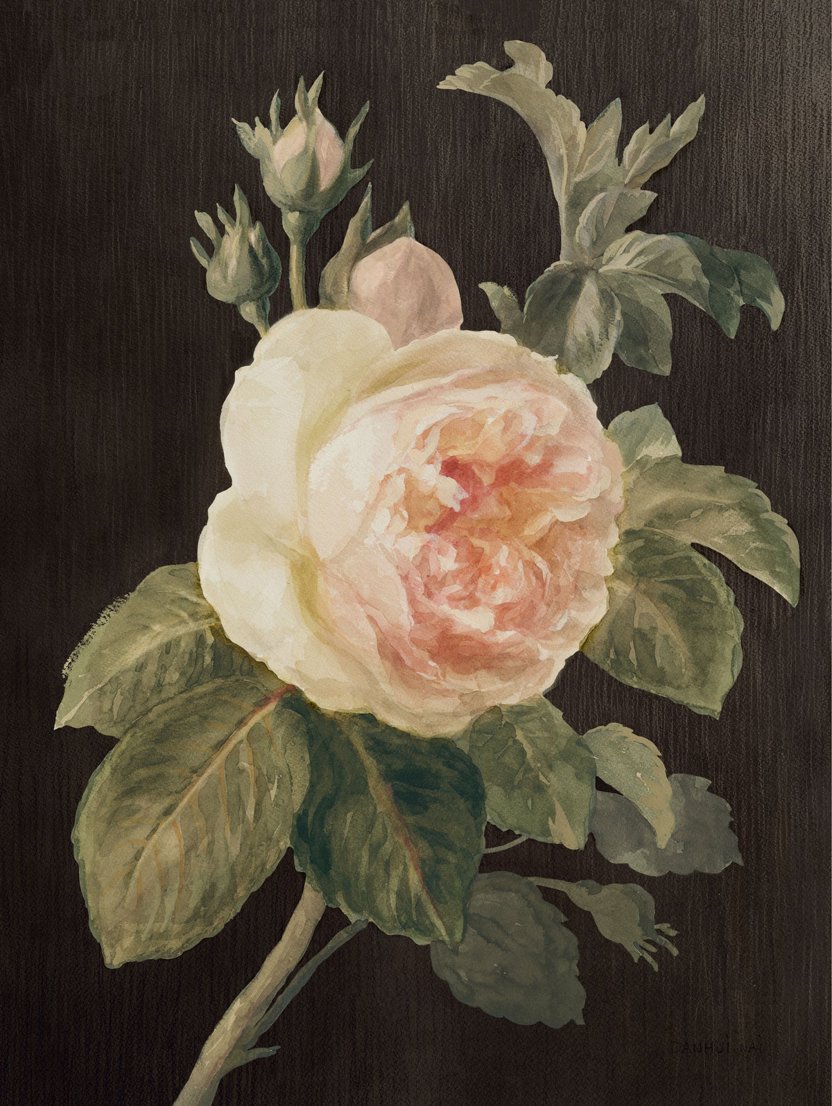 Heirloom Pink Rose Mural Wallpaper - pure wallpaper artwork