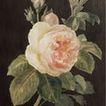 Heirloom Pink Rose Mural Wallpaper - pure wallpaper artwork