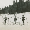 Wooden Skis Mural Wallpaper - pure wallpaper artwork