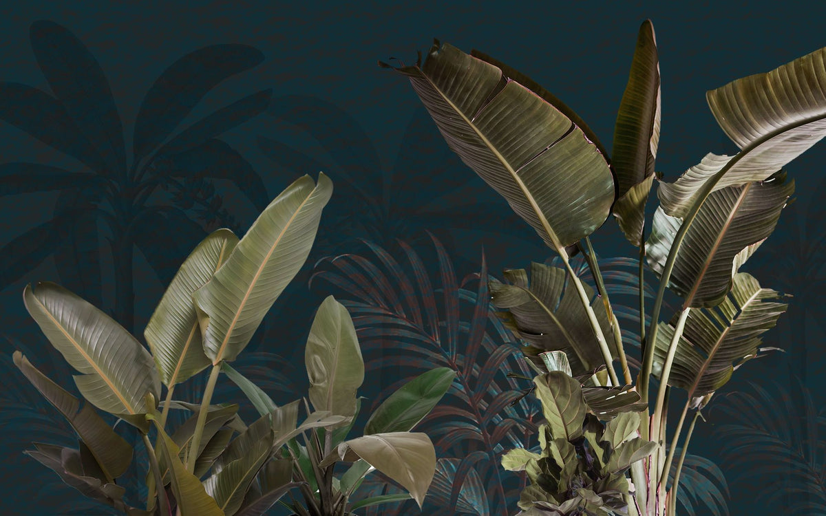 Banana Leaf Study Mural Wallpaper - pure wallpaper artwork